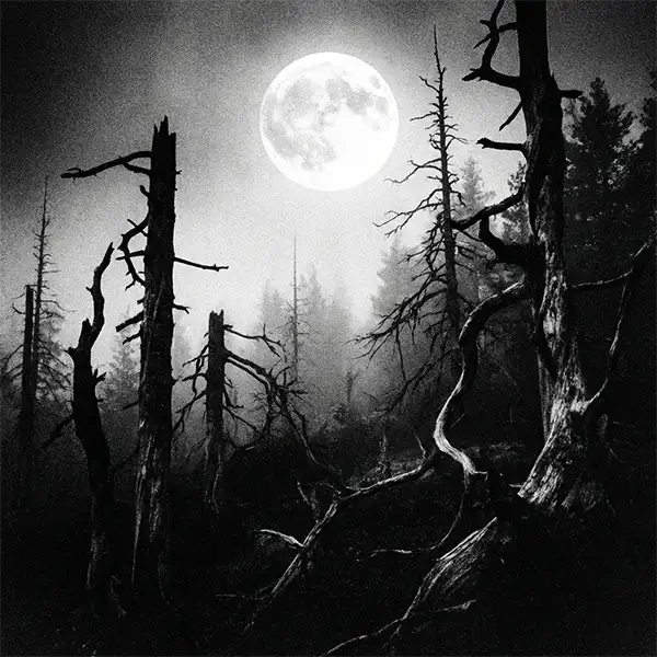 ¿Poesía existencialista o apología del nihilismo suicida? El oscuro legado de «Freezing Moon»